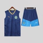 Palmeiras 24/25 Training Kit