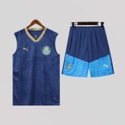 Palmeiras 24/25 Training Kit
