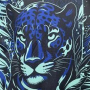 Brazil "Jaguar" Premium Kit - Image 4