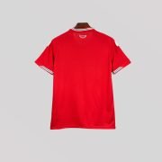 2026 Wales Home World Cup Kit