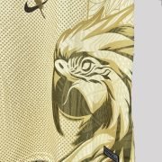 Brazil "Arara Gold" Premium Kit - Image 3