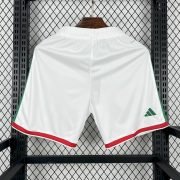 2026 Mexico Home World Cup Shorts - Image 2