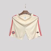 2024/2025 Bayern Munchen Third Away Shorts