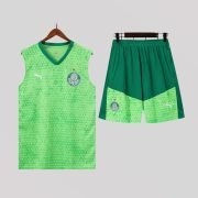 Palmeiras Light Green Training Kit